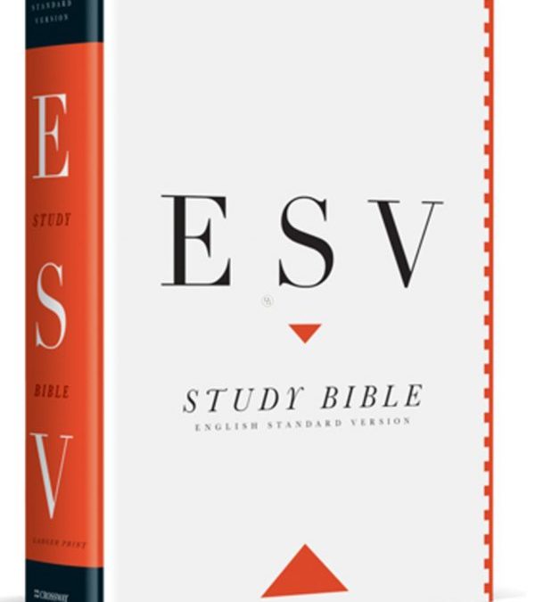 Diving Deeper with a Study Bible