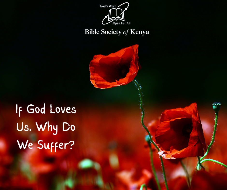 Anzac Day Poppy Flower Facebook Post Lest We Forget Remember Day