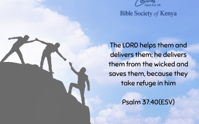 Finding Your Safe Harbour