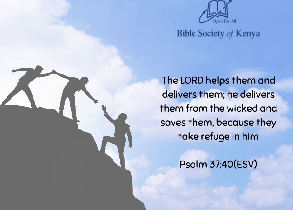 Finding Your Safe Harbour